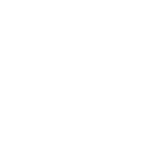 Monitoring website ranking, adjusting SEO strategy as needed.